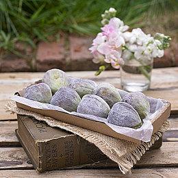 穿越末日与1980年代 《时间旅者：重生曙光》延长实机视频揭示时间裂缝的秘密